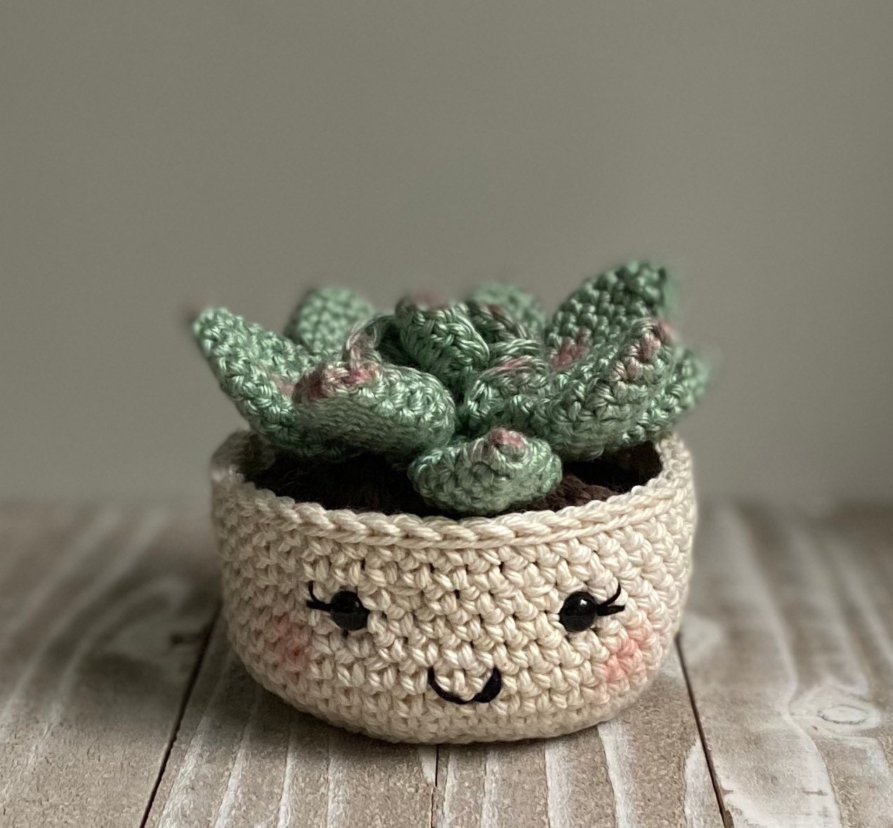 Download Rosette Succulent Crochet Pattern