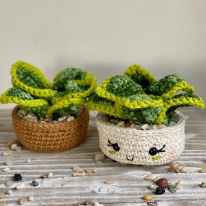 Dwarf Snake Plant Crochet Pattern