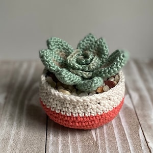 Rosette Succulent Crochet Pattern image 4