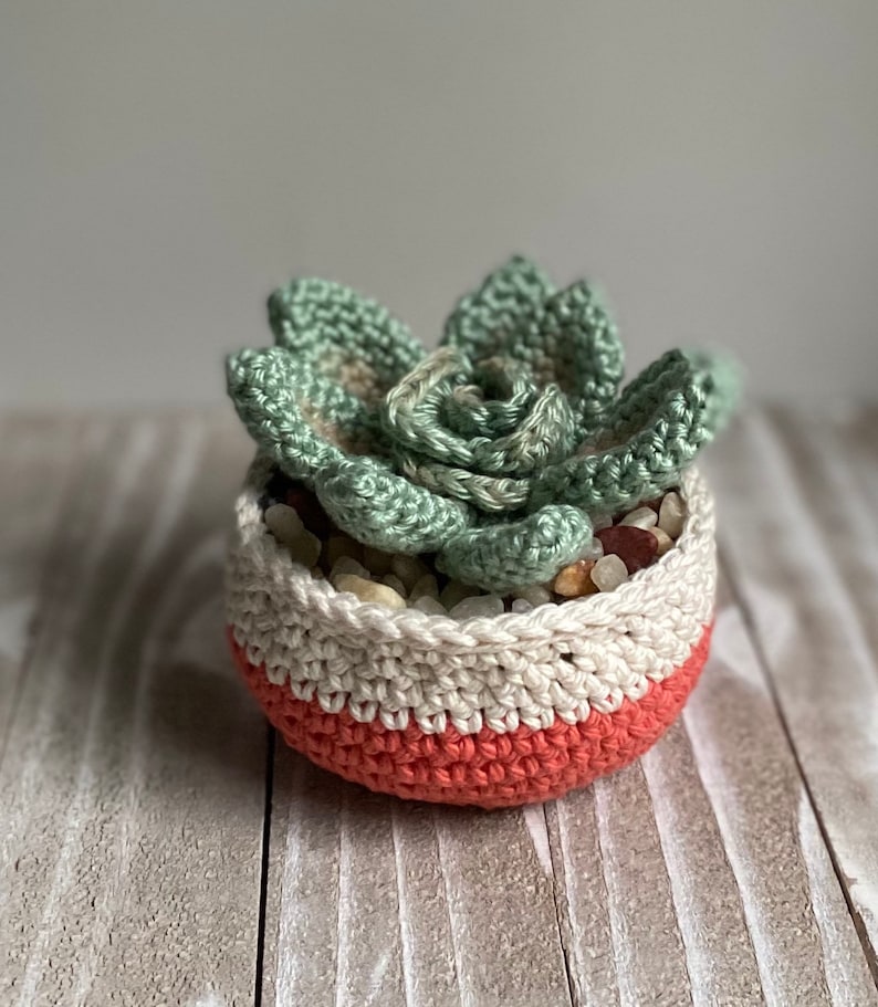 Rosette Succulent Crochet Pattern image 4