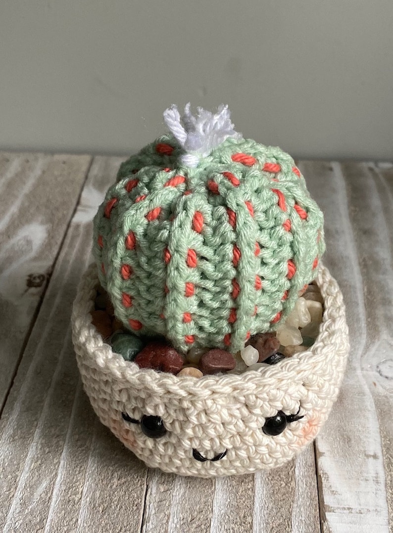 Barrel Cactus Crochet Pattern Etsy UK