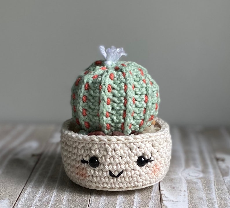 Barrel Cactus Crochet Pattern Etsy UK