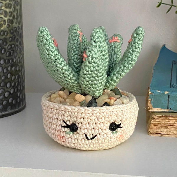 Aloe Vera Plant Crochet Pattern