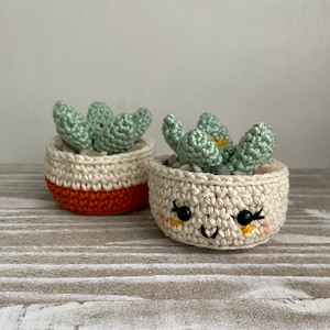 May include: Two crocheted succulent planters, one with a white and orange pot and the other with a white pot with a smiling face.