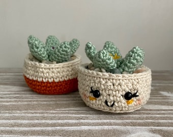 Modèle de crochet de plante de jade bébé