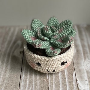 Rosette Succulent Crochet Pattern image 5