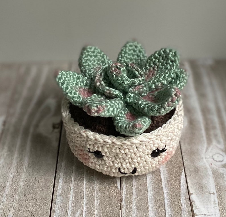 Rosette Succulent Crochet Pattern image 5