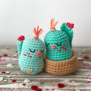Love Birds Crochet Pattern