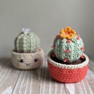 Barrel Cactus Crochet Pattern