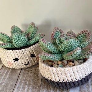 Rosette Succulent Crochet Pattern image 1