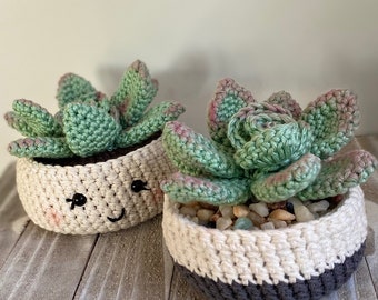 Rosette Succulent Crochet Pattern