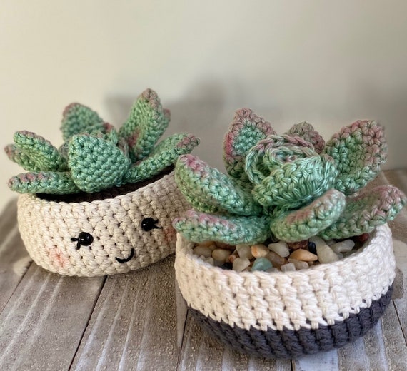 succulents nyc Succulent Garden – Amaranth main image 0