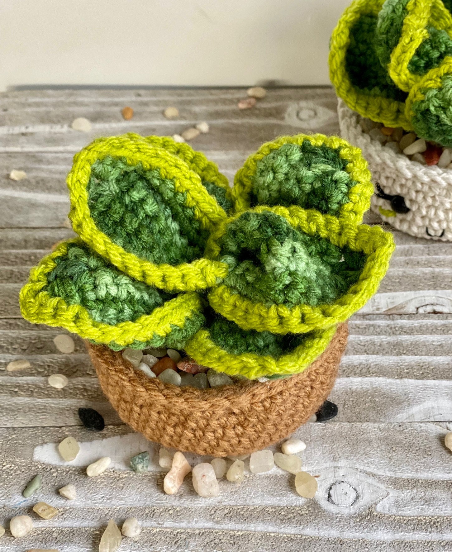 Dwarf Snake Plant Crochet Pattern Etsy Australia