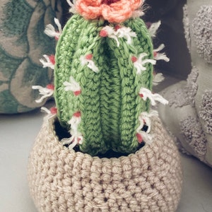 Fence Post Cactus, Crochet Pattern image 2