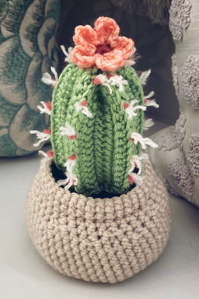 Fence Post Cactus, Crochet Pattern image 2