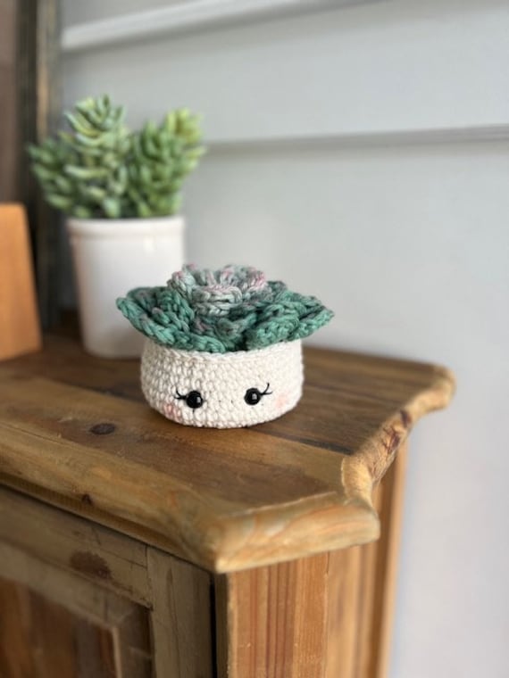 33 Succulent Crochet Patterns for Easy Indoor Garden Decor and Handmade Gifts 22 Rosette Succulent Coaster Set
