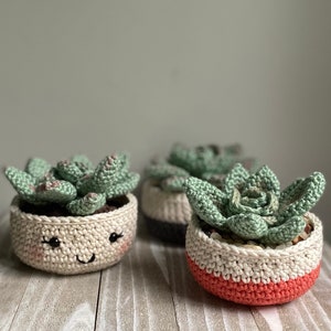 Rosette Succulent Crochet Pattern image 2