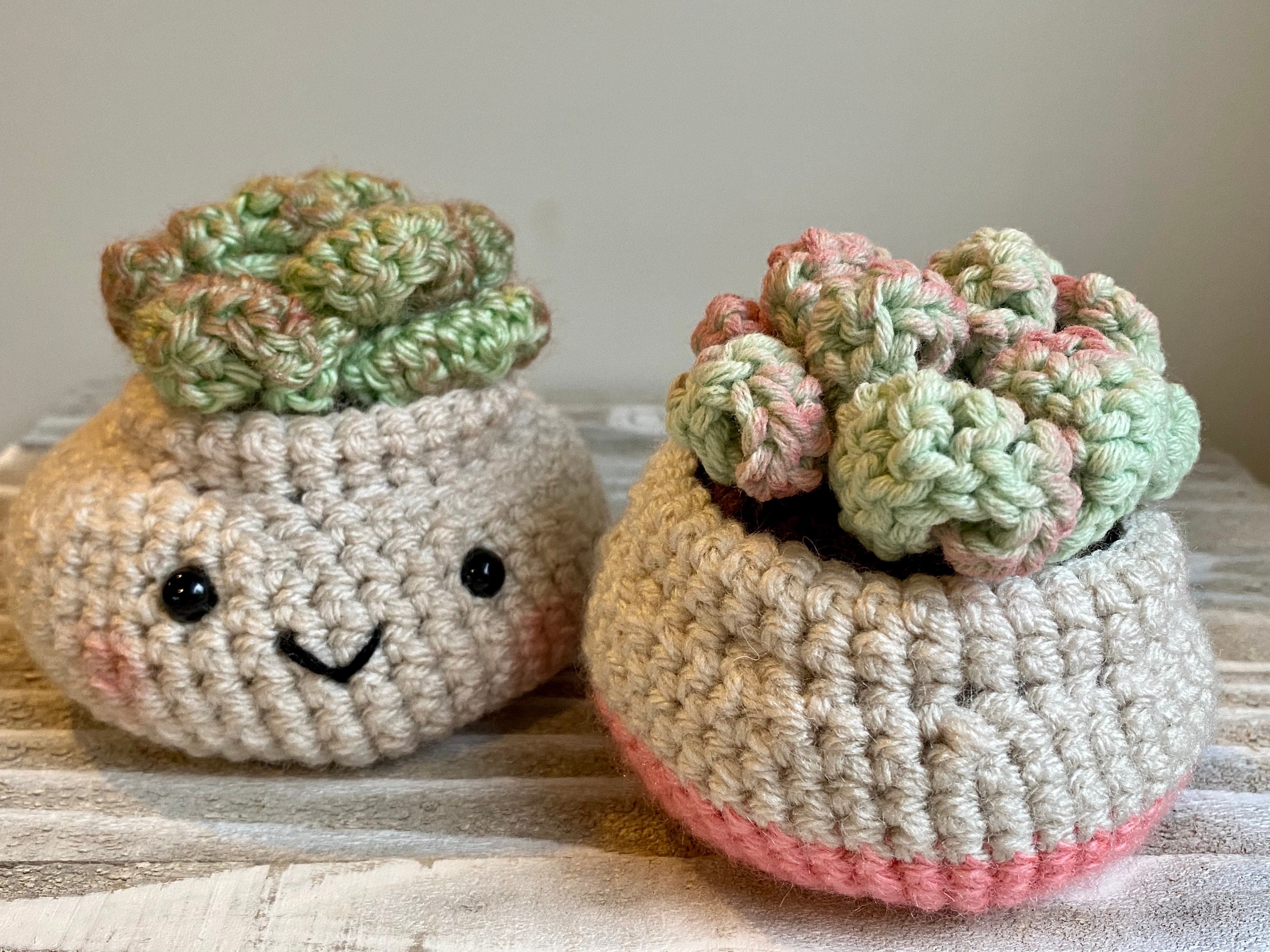 Crochet Succulent Pattern Crochet Plant Pattern Amigurumi Etsy