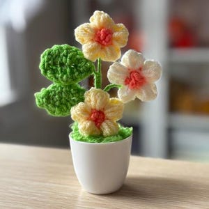 Mini Potted Flower Crochet Pattern