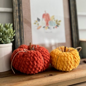 Puede incluir: Dos calabazas de crochet, una naranja y otra amarilla, con detalles de cuerda. Las calabazas están sobre una superficie de madera delante de una impresión enmarcada.