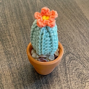 Pequeno Cactus Crochet Pattern
