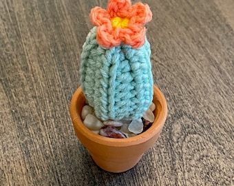 Pequeno Cactus Crochet Pattern