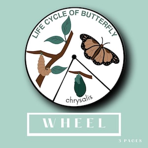 Ciclo de vida de la rueda de mariposa, Etapa de la vida de la mariposa, Primavera, Libro de actividades Montessori, Tarjetas imprimibles en PDF para preescolar.