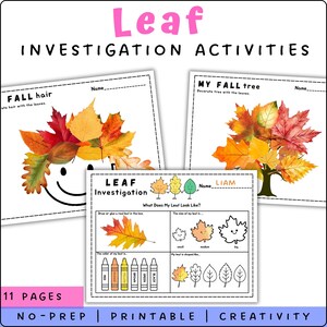 May include: A set of printable leaf investigation activities. The pages feature colorful illustrations of leaves, a tree, and a smiling face with leaf hair. Text includes "Leaf Investigation Activities", "Fall Hair", and "My Fall Tree".