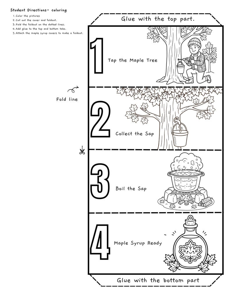 Maple Syrup Project How Maple Syrup is Made Foldout Craft | Sequencing Activity | Spring ...