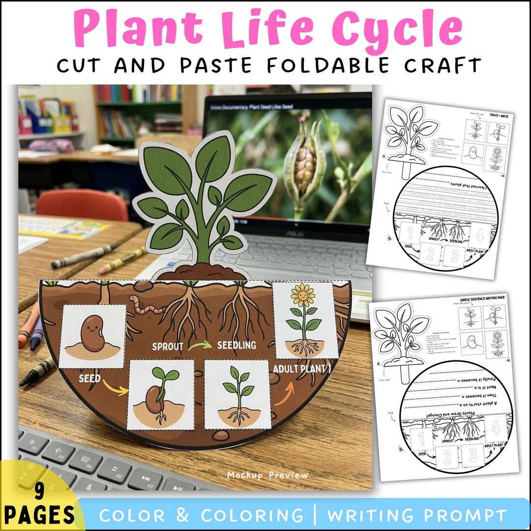 Plant Life Cycle Foldable Craft | Cut and Paste Sequencing Activity ...