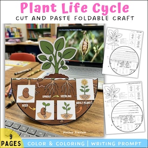 Puede incluir: Una colorida manualidad educativa titulada "Ciclo de vida de las plantas" con elementos para cortar y pegar. El diseño muestra las etapas del crecimiento de las plantas, desde la semilla hasta la planta adulta, con una indicación de escritura.