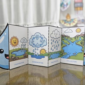 Water Cycle Fold-out Craft – Science Diagram & Worksheets (PDF Download ...
