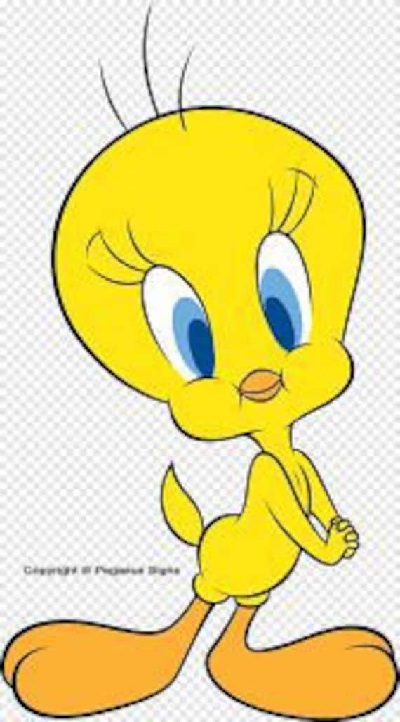 Tweety Pie Cross Stitch Pattern, Looney Tunes Bird (PDF/JPEG) - Etsy
