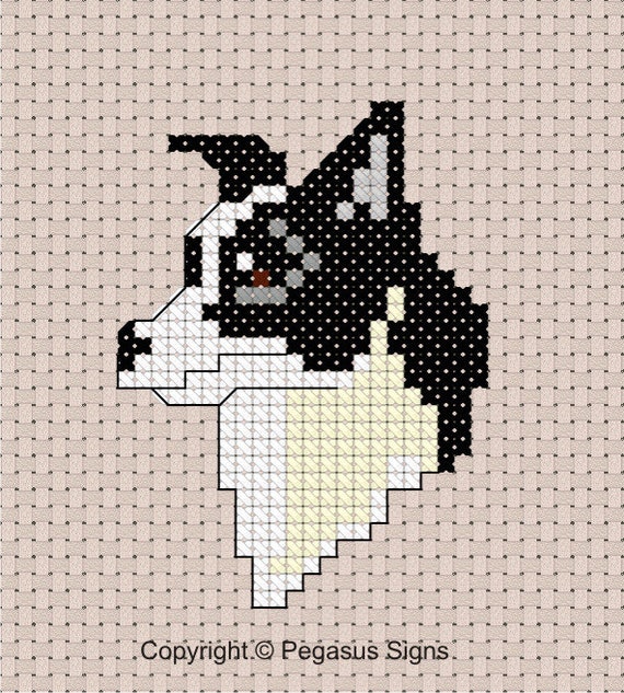 Decoration Murale En Fil De Fer Border Collie Nom Du Chien Etsy In 2020 Art Arabic Calligraphy Fictional Characters