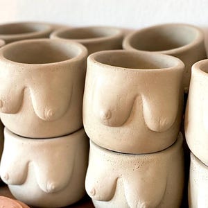 Plant Pot, Indoor Plant Pot, Planter, Indoor Planter, Small Plant Pot, Small Planter, Boob Planter, Unique Plant Pot, Handmade Planter