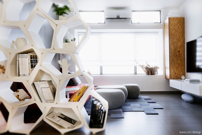 White Open Shelving and Bookcase as Stylish Room Divider: This elegant design not only provides storage but also serves as a modern room divider, seamlessly merging functionality and aesthetics.