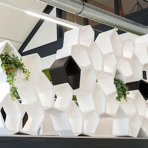 Modular Wall Shelf System for Room Divider or Bookcase, Modern Honeycomb Shelving Unit, Red Dot Award Freestanding Storage Design