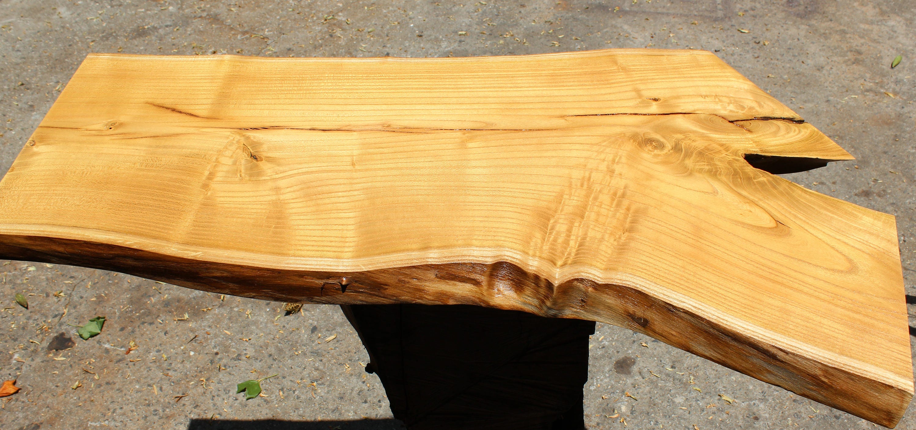 Rare Unusual Mulberry Wood Slab Crotch Feather Figure Natural Etsy