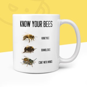 Funny Know Your Bees Mug | Novelty Mugs Cunt With Wings Wasp Honeybee Bumblebee | Gift For Him Her Office Secret Santa Birthday Mug