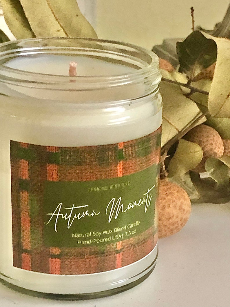 Autumn Moments Natural Soy Wax Blend Candle 7.5oz Fall image 1