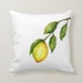 see more listings in the  Pillows section