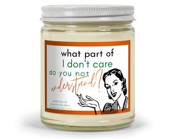 Funny Mid-Century Design Candle, I Don't Care Candle, Funny Gift for Her, Soy and Wax Blend Candle 7.5 oz, Funny Saying Candle
