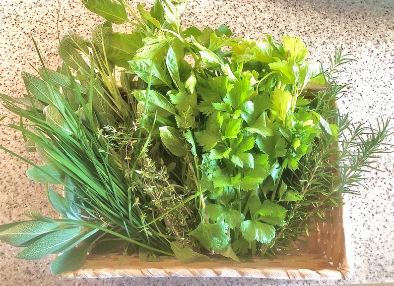 Thanksgiving Meal, Dried Herb Mix, Herb Gift, Sage, Celery Leaf, Rosemary, Basil, English Thyme, Garlic, Christmas Gift, Cooking Gift image 9