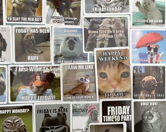 Assorted Proof That Animals Make Memes Better (23 Images