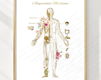 May include: A framed wall art print titled Acupuncture Meridians featuring a gold-toned anatomical human figure outline with floral accents in pink and white, alongside gold illustrations of internal organs and labeled meridian pathways.