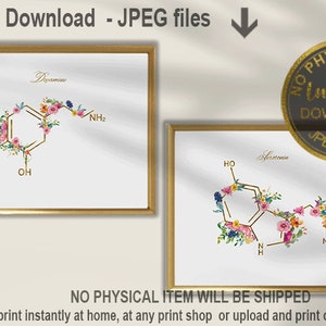 May include: Two printable art prints featuring the chemical structures of dopamine and serotonin, with floral embellishments. The prints are framed in gold and have a white background.