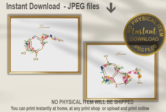 Serotonin Dopamine Art Print, Floral Hormone Wall Art, Brain Chemistry Decor, Psychology Gift, Printable Science Art