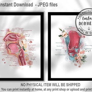 SLP Anatomy Wall Art | Speech Therapy Anatomy Print for Speech Pathologist Office, Swallowing & Voice Therapy Decor