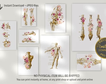 DPT Office Decor, Physical Therapist Gift, Chiropractor Graduation Gift, Massage Therapist Office,Chiropractor Gift, Anatomy Art Set of 8