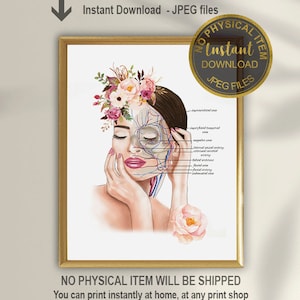 Facial Arteries and Veins Art: Esthetician Clinic Decor (Printable Art)